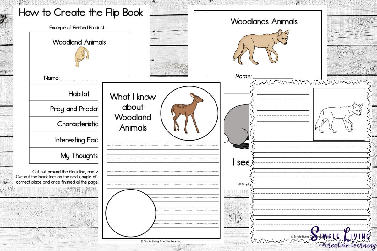 Animal Group Flip Chart Printable