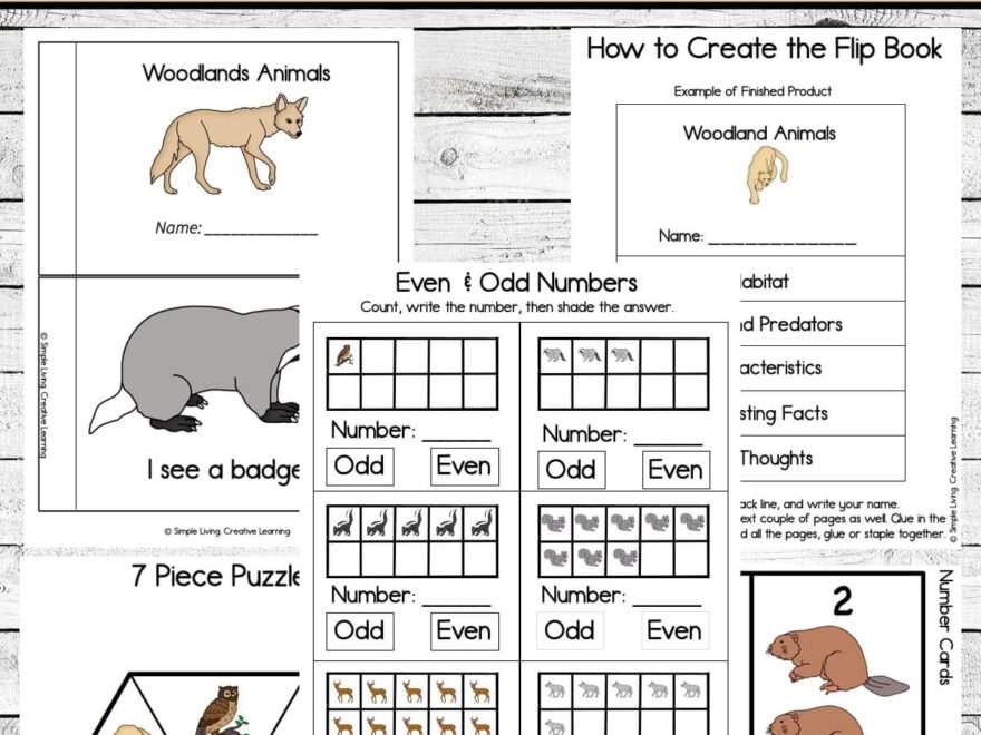 Woodland Animals Printable Pack Simple Living Creative Learning