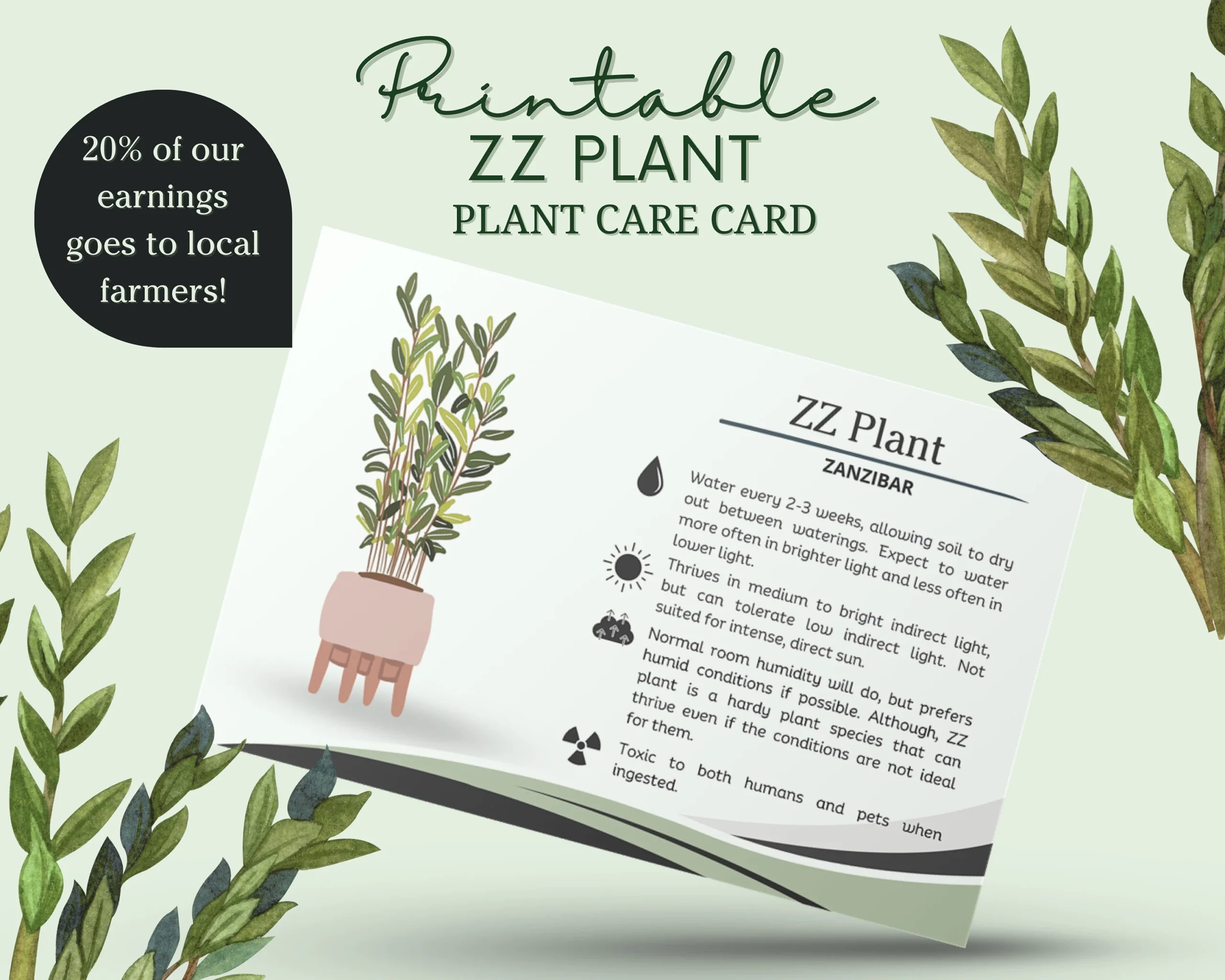 Zz Plant Printable Care Sheet Zz Plant Printable Care Sheet