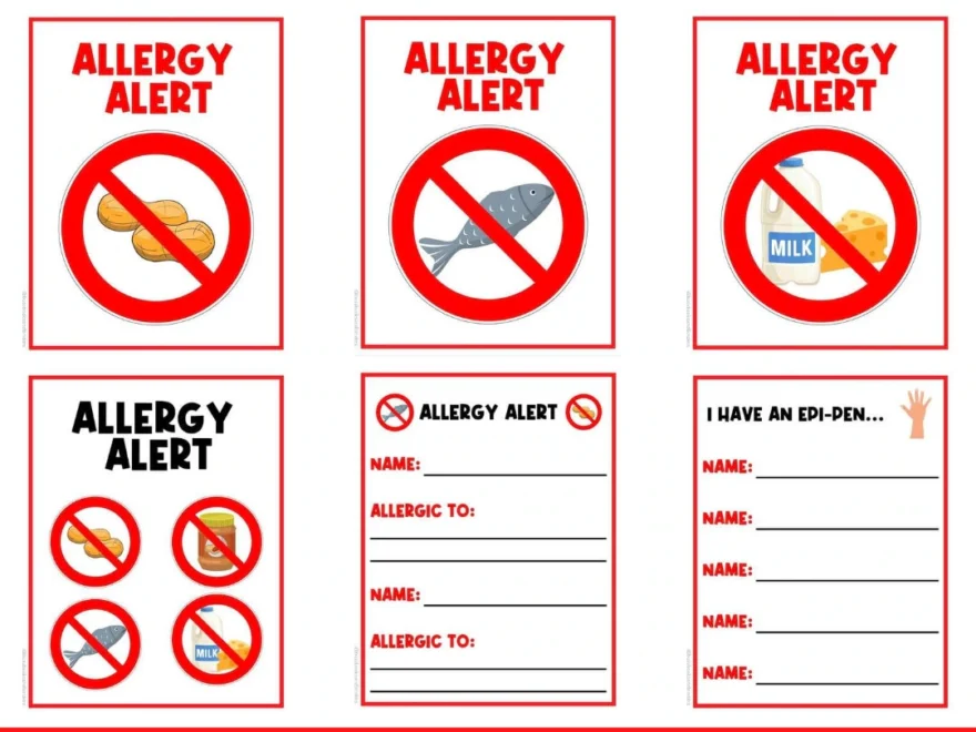 Allergy Alert Classroom Poster Signs Decor Visual Printable Signs Poster Label Classroom Signs Activity Signs Directions Etsy