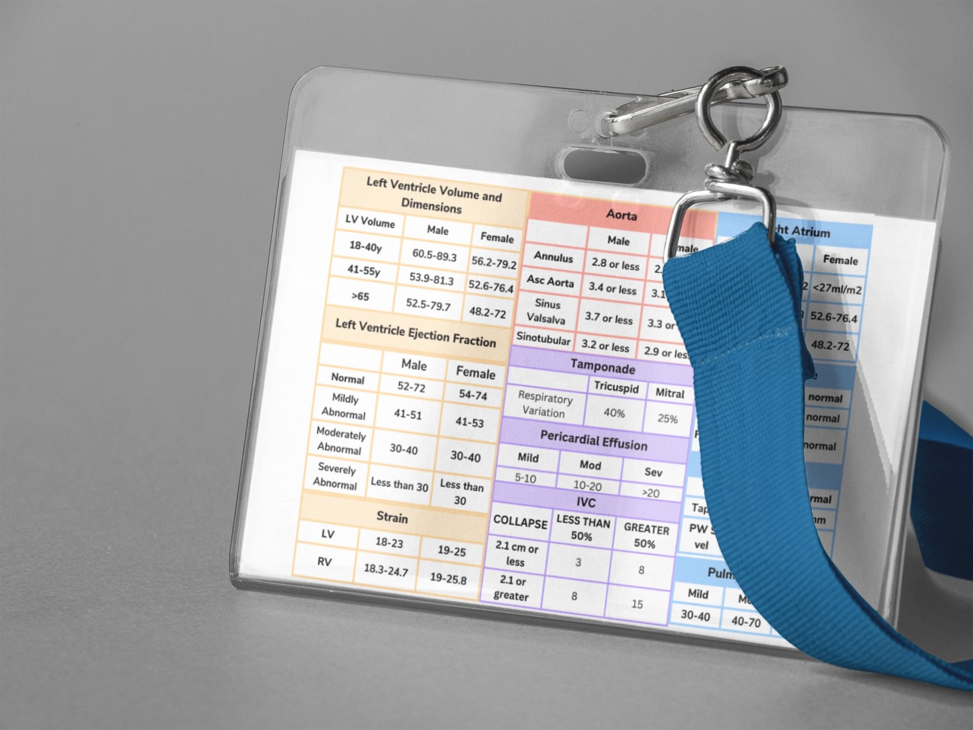 Cheat Sheet Alexa Echo Printable