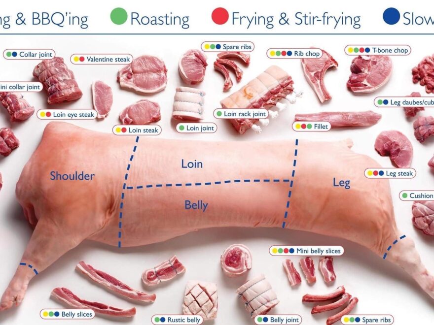 Amazon Iconic Arts Cuts Of Pork Butchers Chart 18x24 Poster Office Products