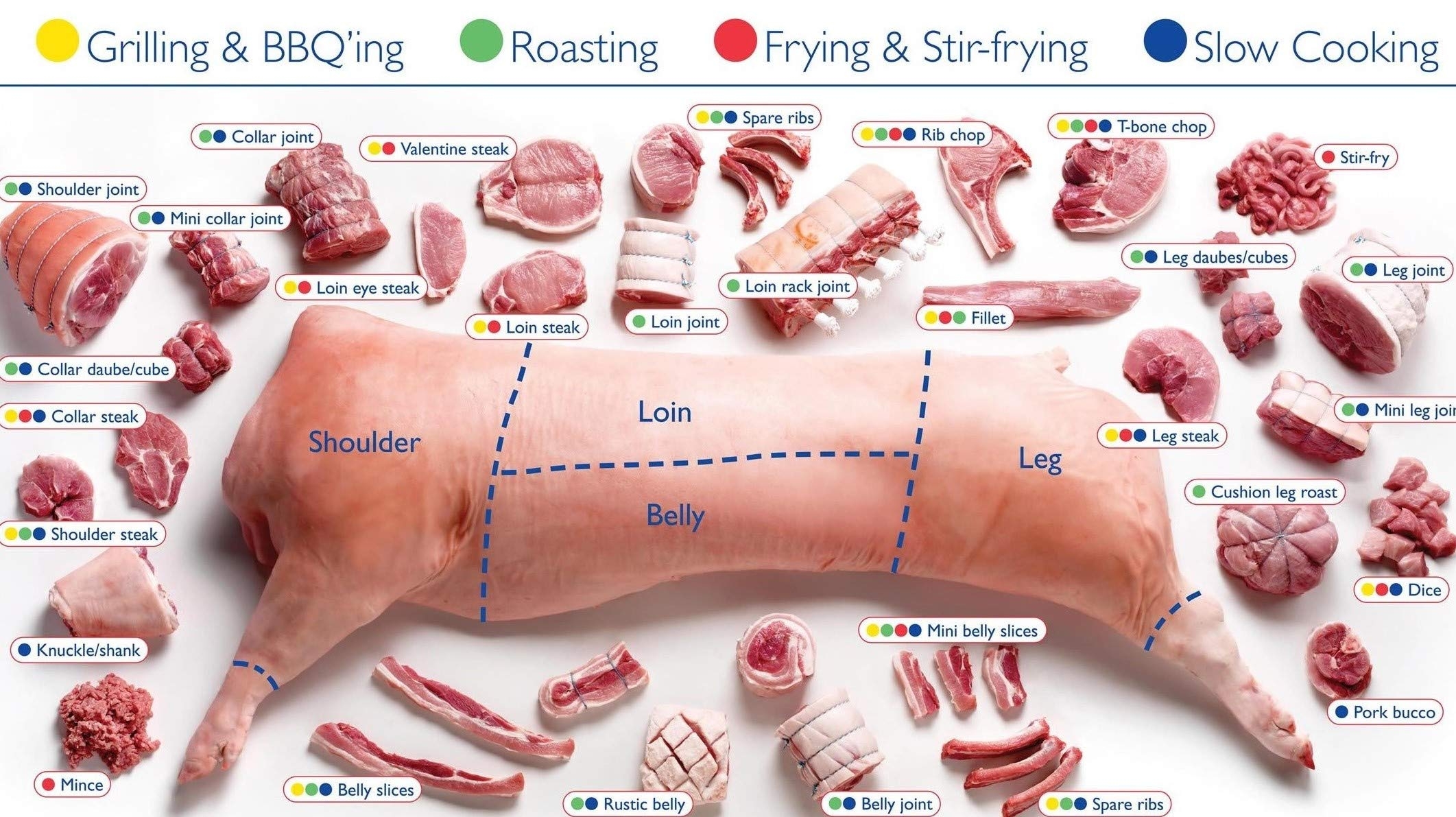 Amazon Iconic Arts Cuts Of Pork Butchers Chart 18x24 Poster Office Products