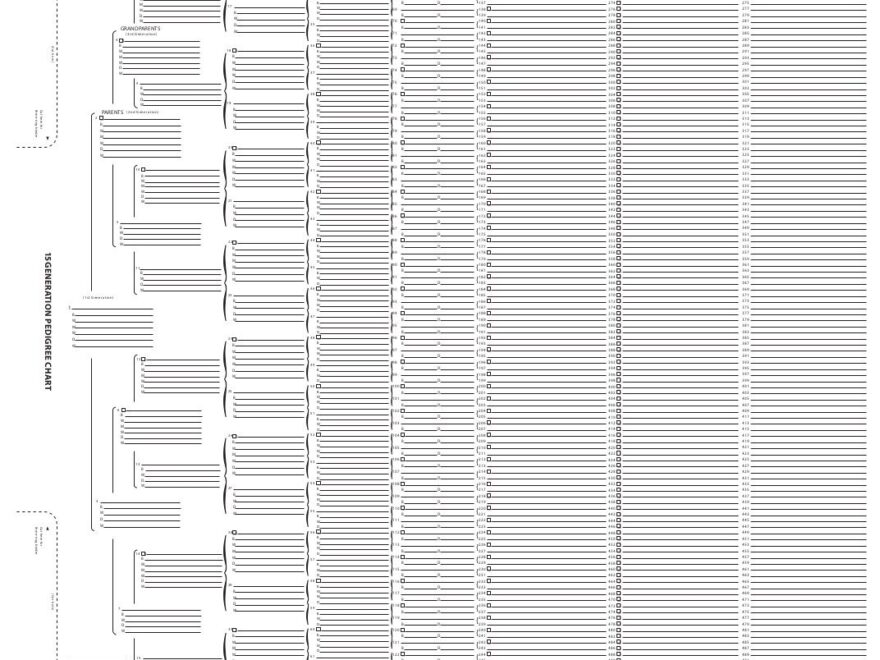 Amazon TreeSeek 15 Generation Pedigree Chart Blank Genealogy Forms For Family History And Ancestry Work Office Products