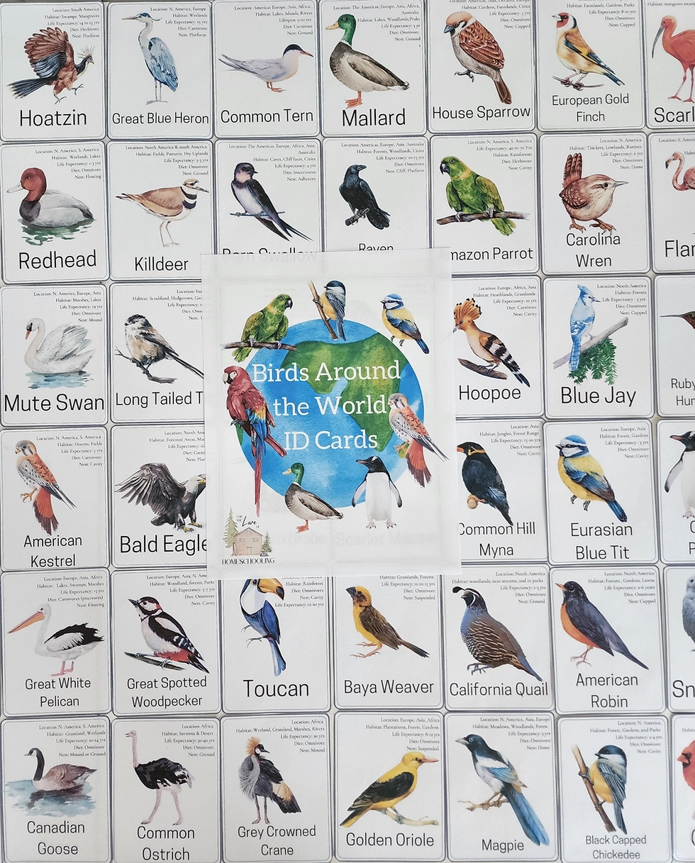Printable Bird Identification Chart
