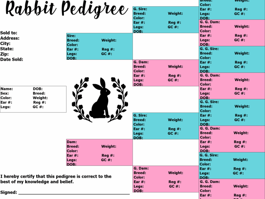 Category Record Keeping Hidden Mountain Rabbitry