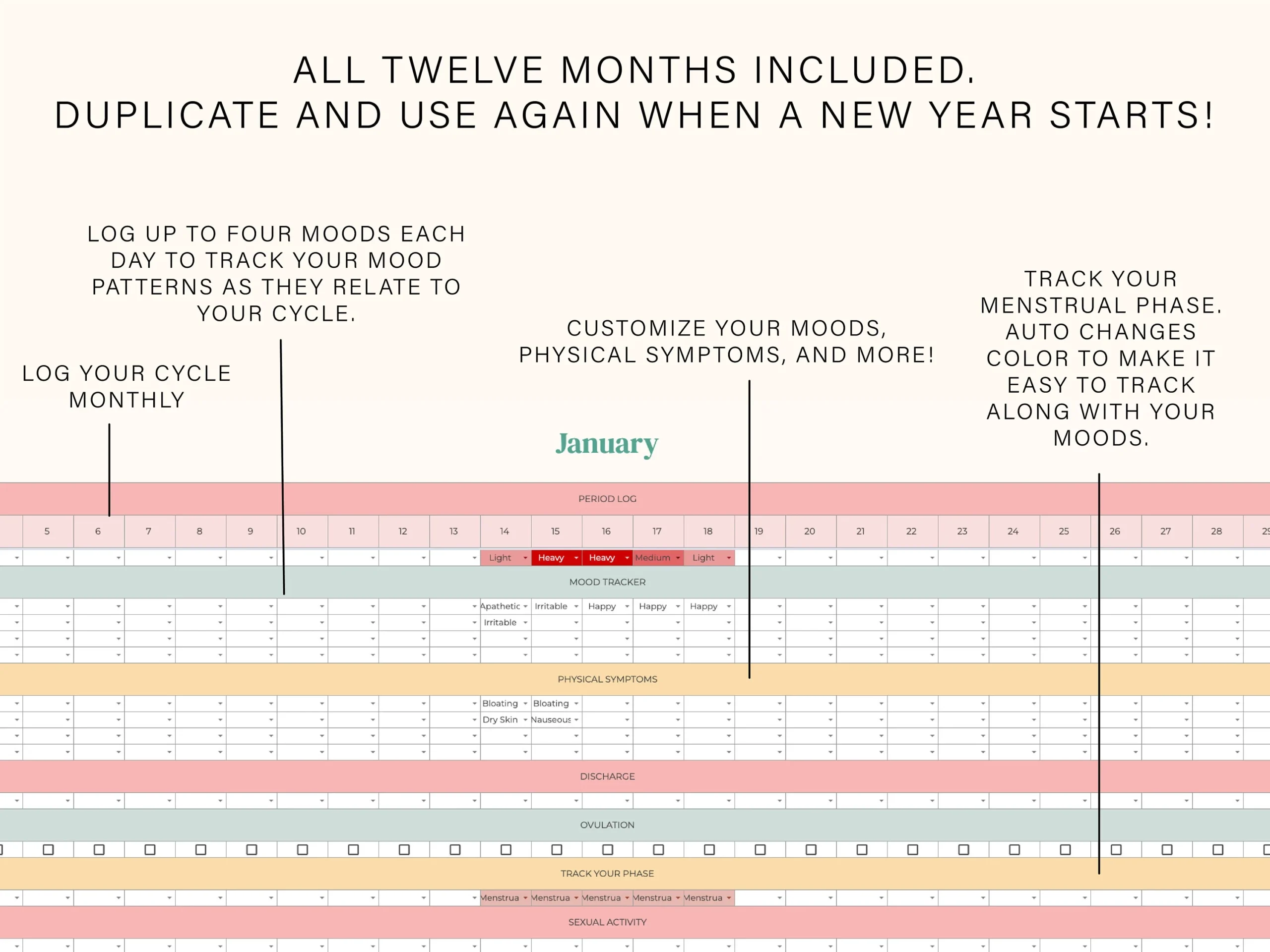 Creighton Model Chart Printable