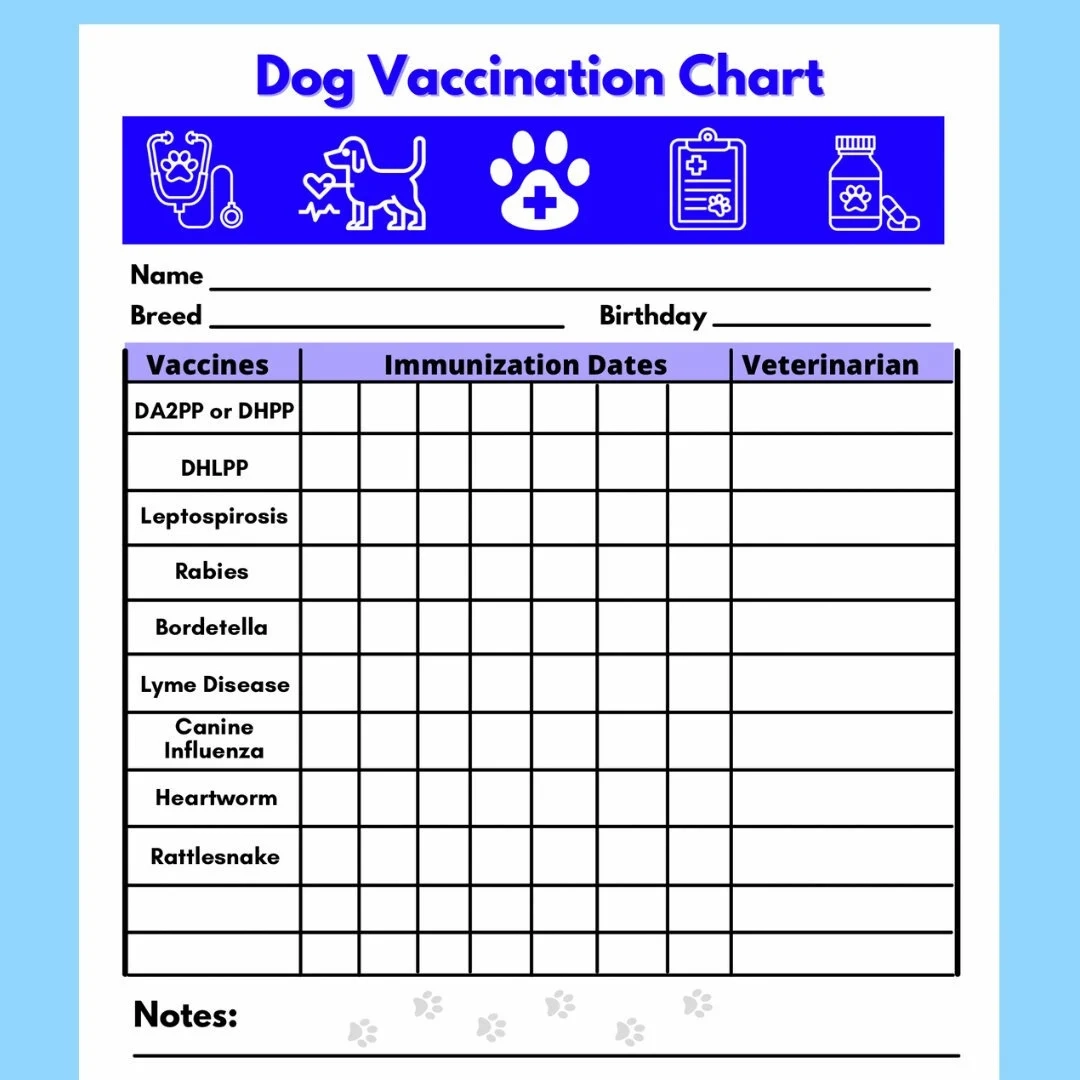 Dog Vaccine Printable Pet Printable Immunization Puppy Vaccinations Dog Health Digital Download Instant Download PDF Etsy Dog Vaccine Printable Pet Printable Immunization Puppy Vaccinations Dog Health Digital Download Instant Download PDF Etsy