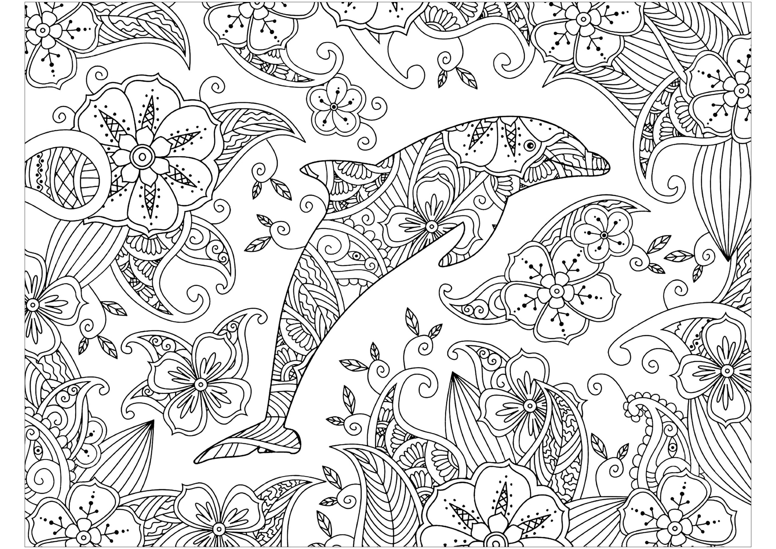 Patterned Dolphin Coloring Sheets Adults Printable