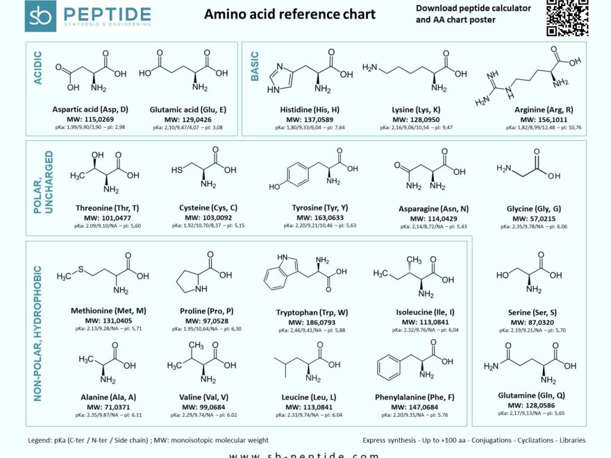 Download Amino Acids Chart And Reference Table