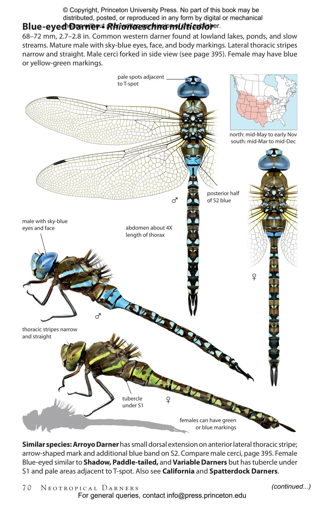 Dragonflies Of North America Princeton University Press