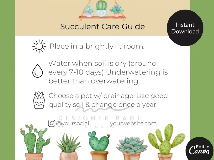 Editable Succulent Care Guide Template Plant Care Cards Tag Printable Labels Canva Template For Business Card Social Media Shop Instagram Etsy