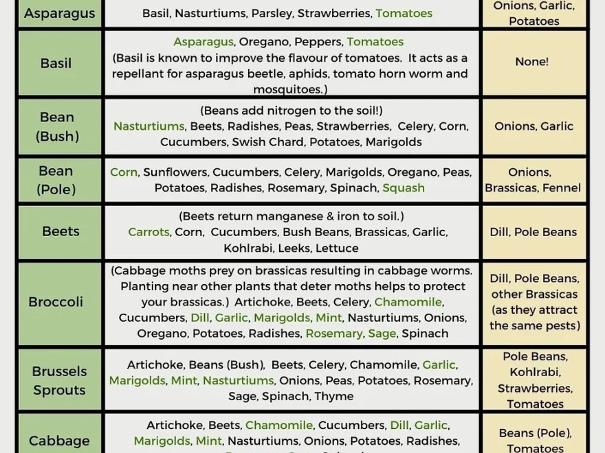 Free Printable Companion Planting Chart