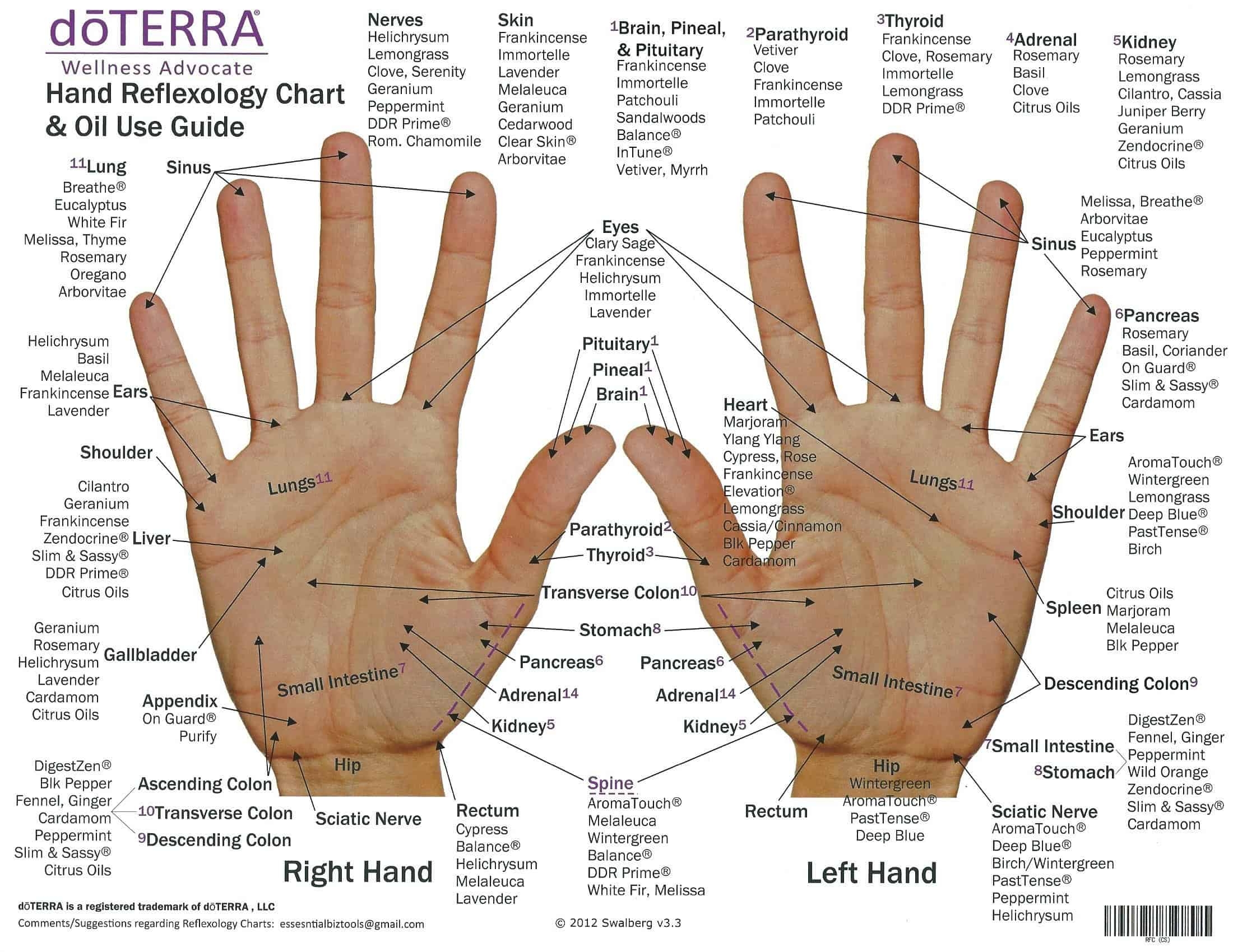 Free Printable Hand Reflexology Templates Charts Maps PDF Free Printable Hand Reflexology Templates Charts Maps PDF