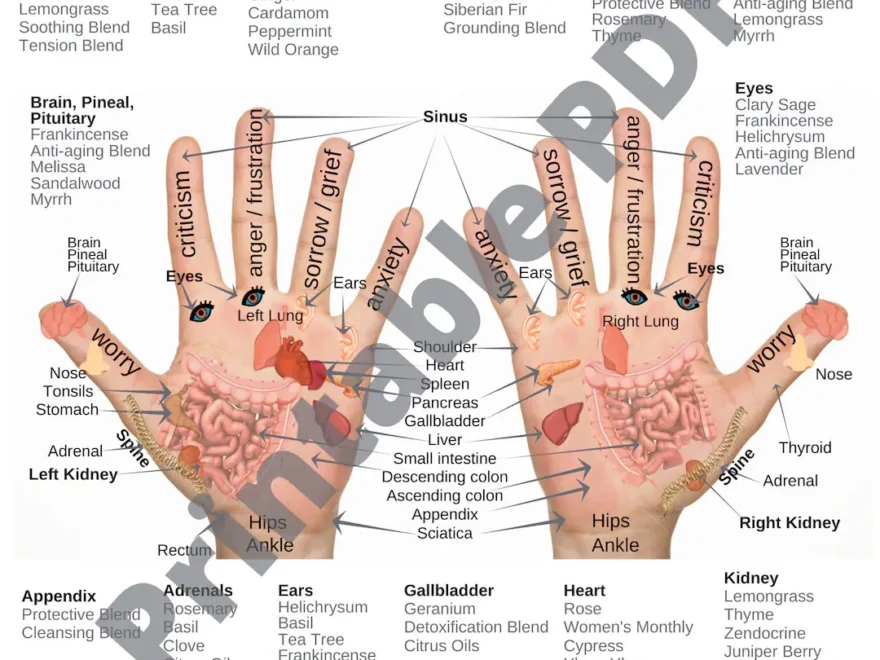 Hand Reflexology Chart PDF Printable Etsy