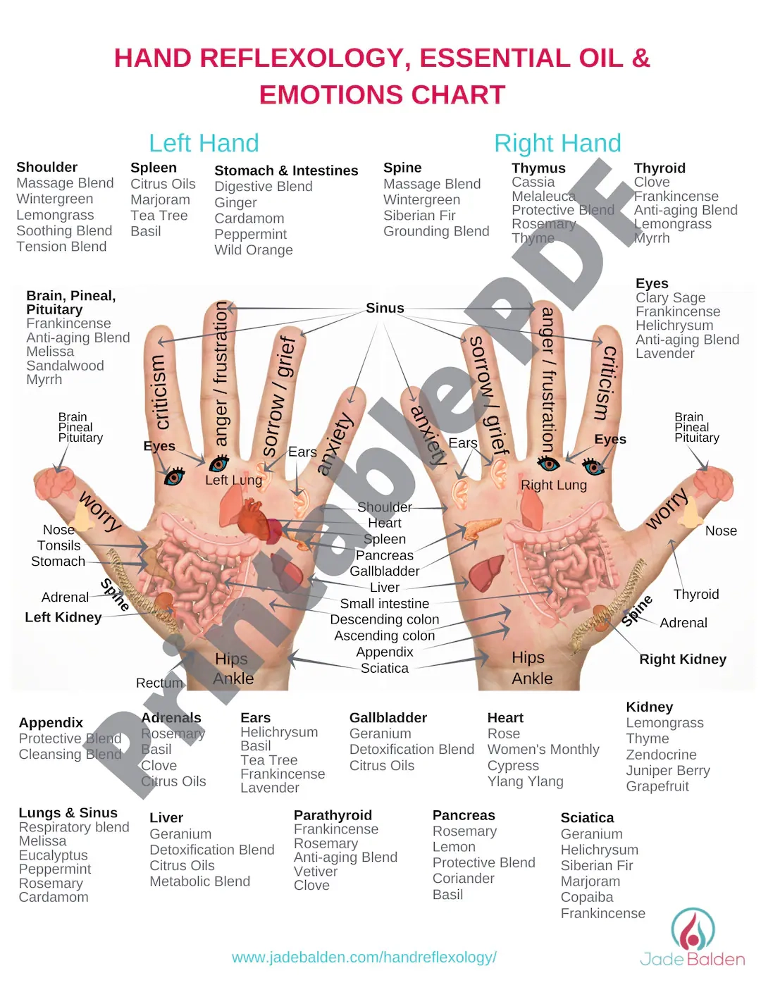 Hand Reflexology Chart PDF Printable Etsy Hand Reflexology Chart PDF Printable Etsy