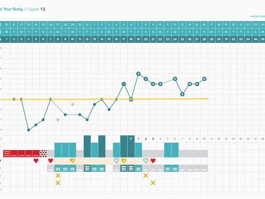 How To Start Charting Your Cycle Fertility Awareness Project