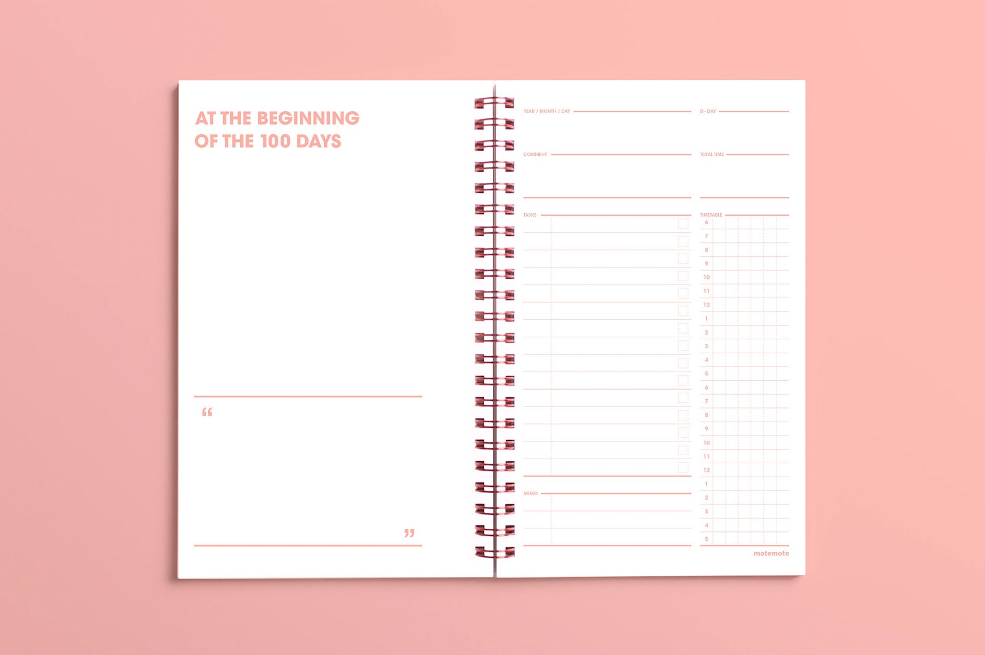 MOTEMOTE Rose Quartz Ten Minute Planner 100 Days USA Located Etsy