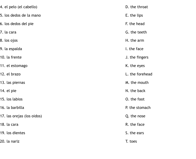 Partes Del Cuerpo Examen Worksheet WordMint