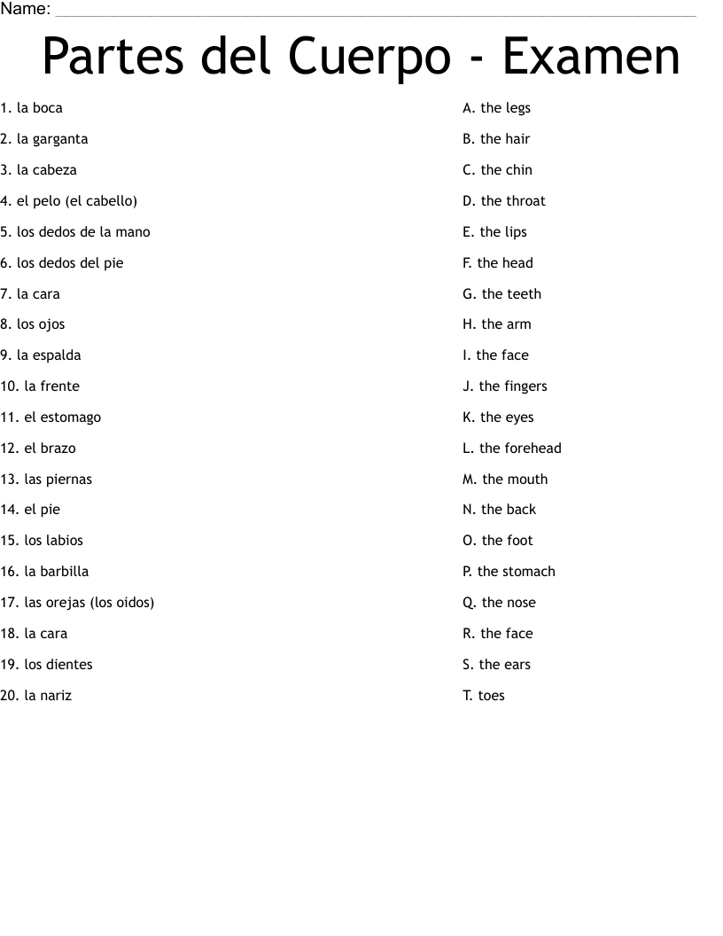 Partes Del Cuerpo Examen Worksheet WordMint