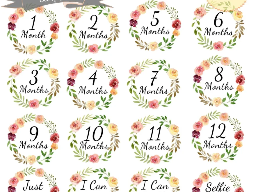 Printable Floral Wreath Baby Monthly Milestone Stickers Girl First Year Belly Month Signs 1 12 Months Cards Baby Shower Instant Download Etsy