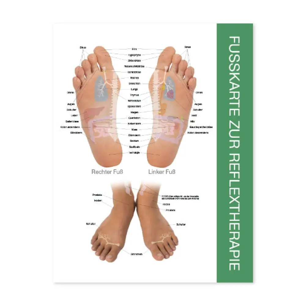Reflex Points For Foot And Hand Chart 8 1 2 X 11 AromaTools 