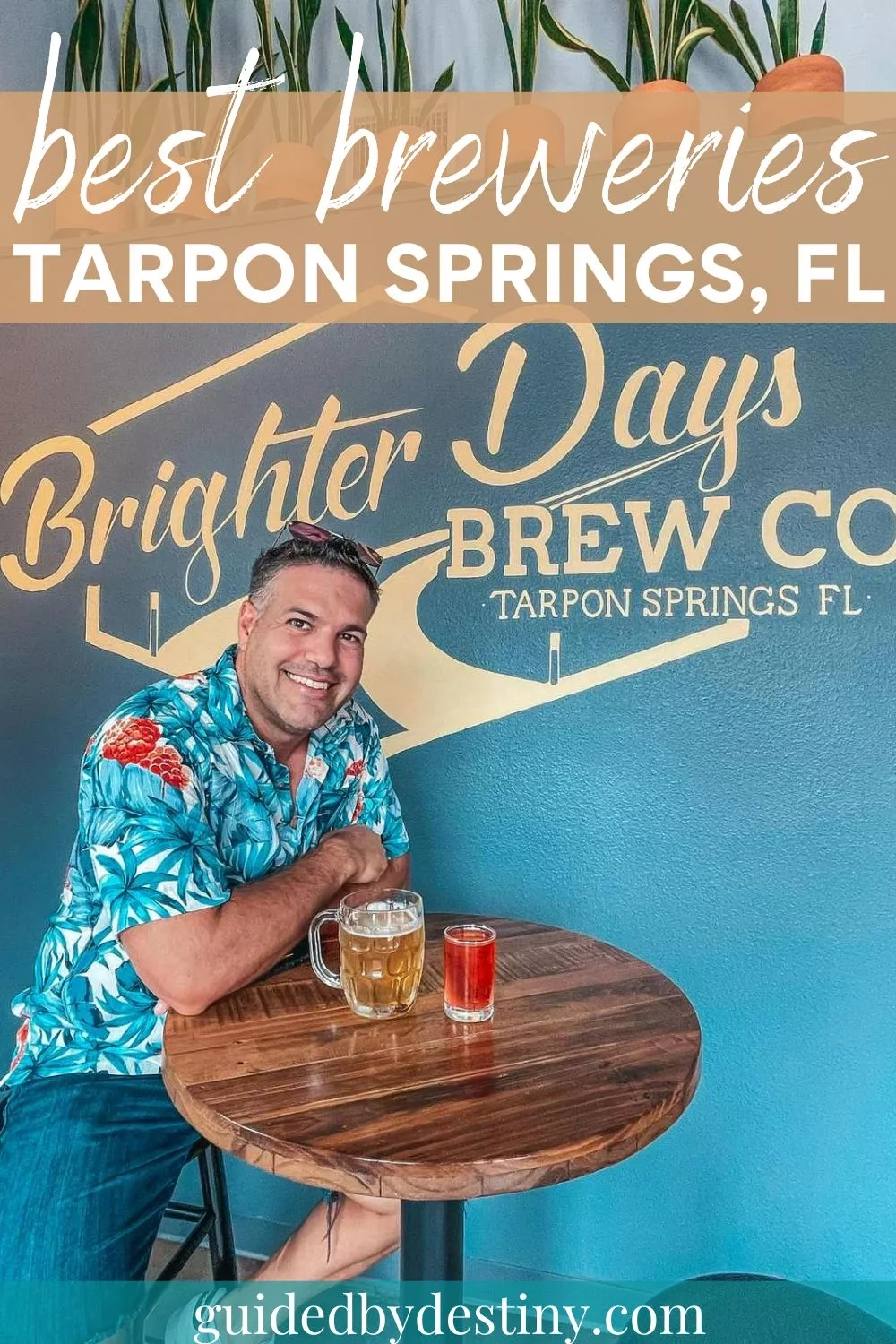 The 6 Best Breweries In Tarpon Springs Florida
