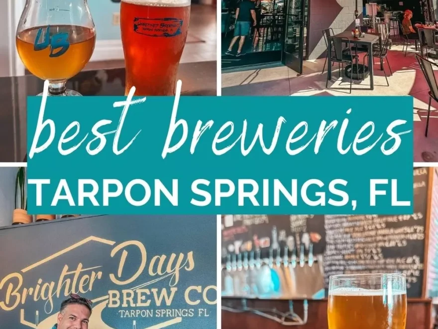 The 6 Best Breweries In Tarpon Springs Florida