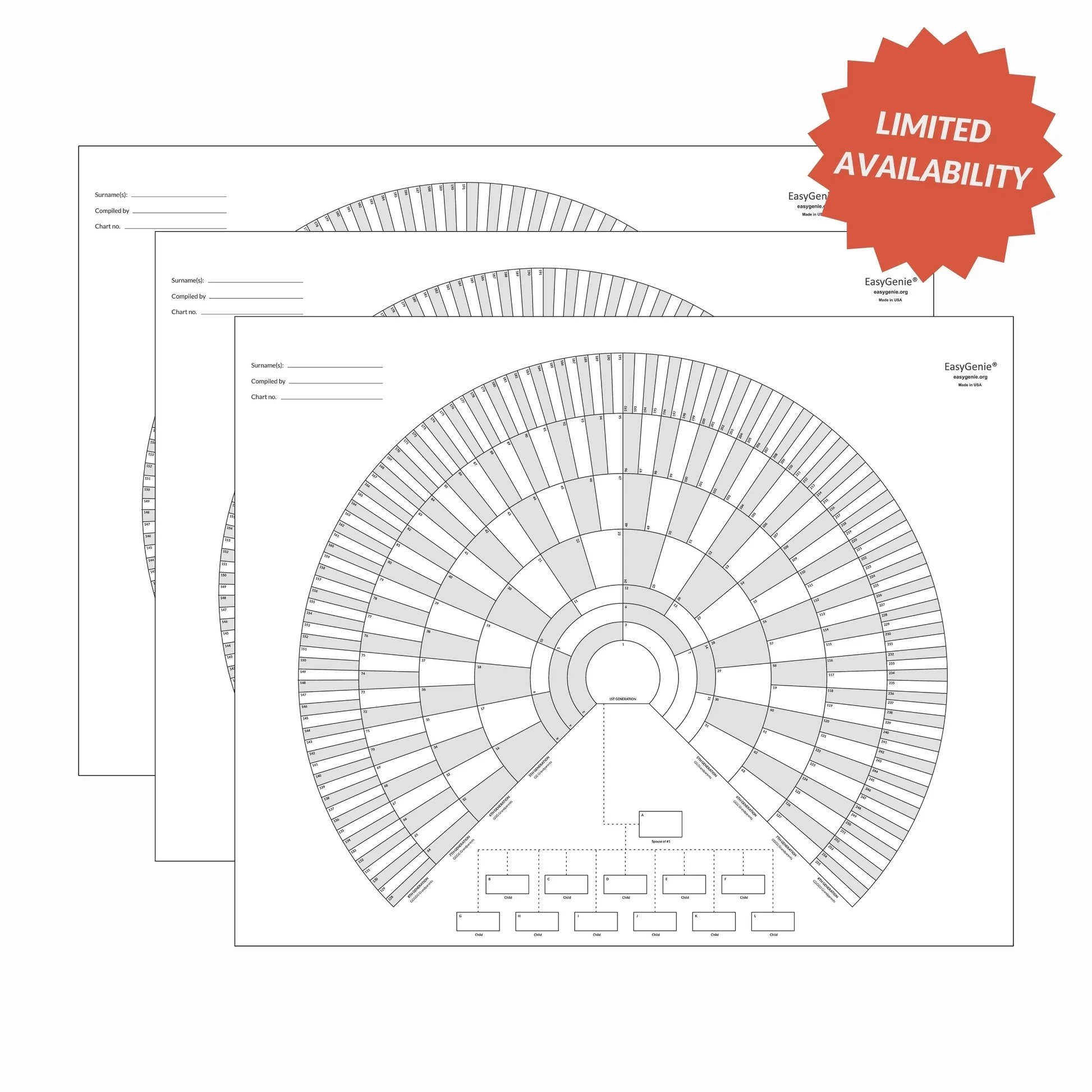 Free Printable 9 Generation Fan Chart